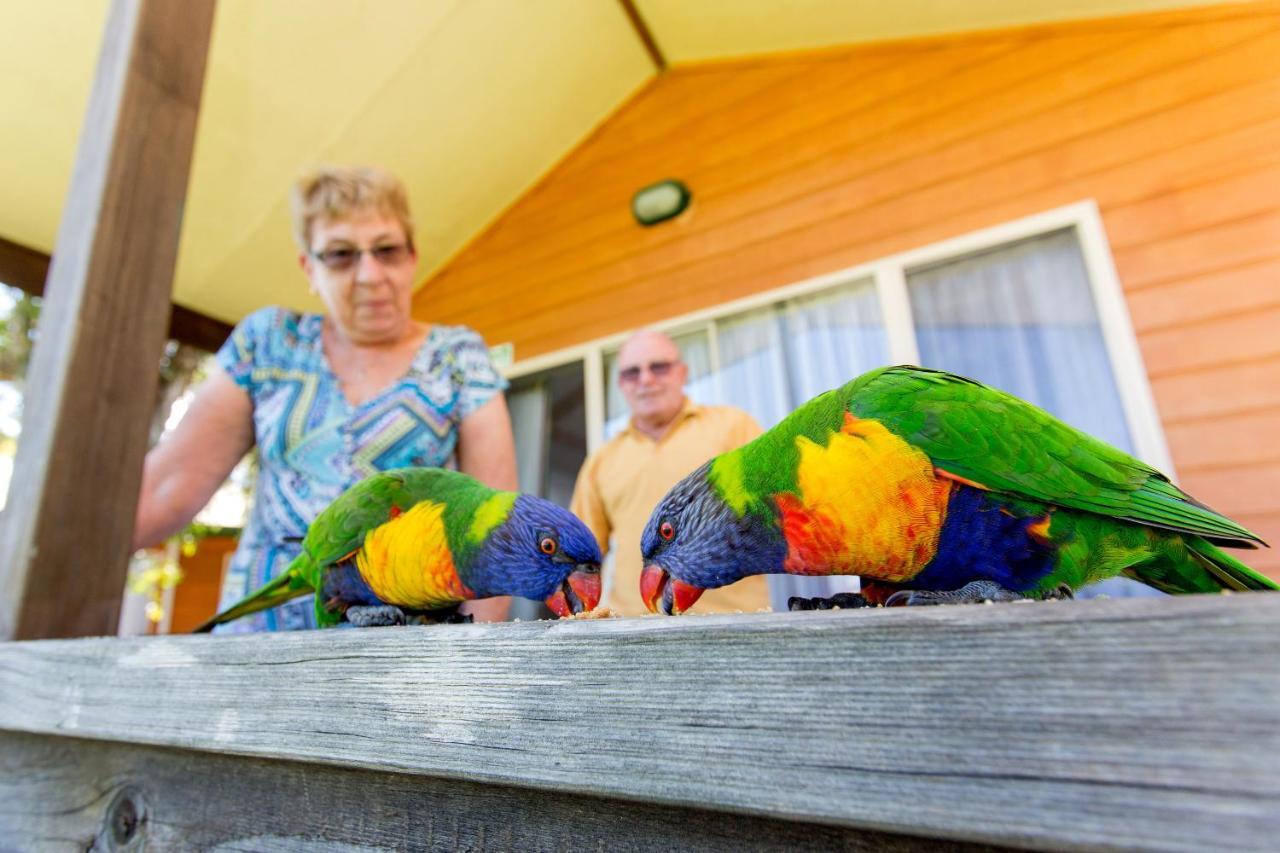 Big4 Batemans Bay At Easts Riverside Holiday Park Oda fotoğraf
